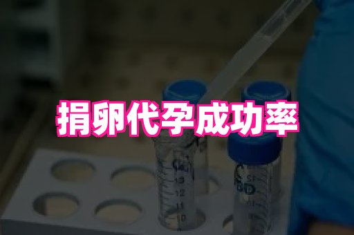 长沙助孕网 2