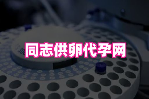 长沙助孕网 3