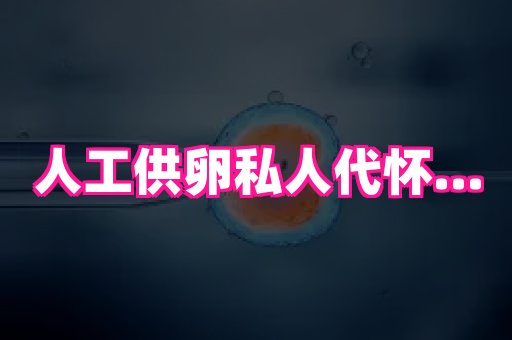 长沙助孕网 4